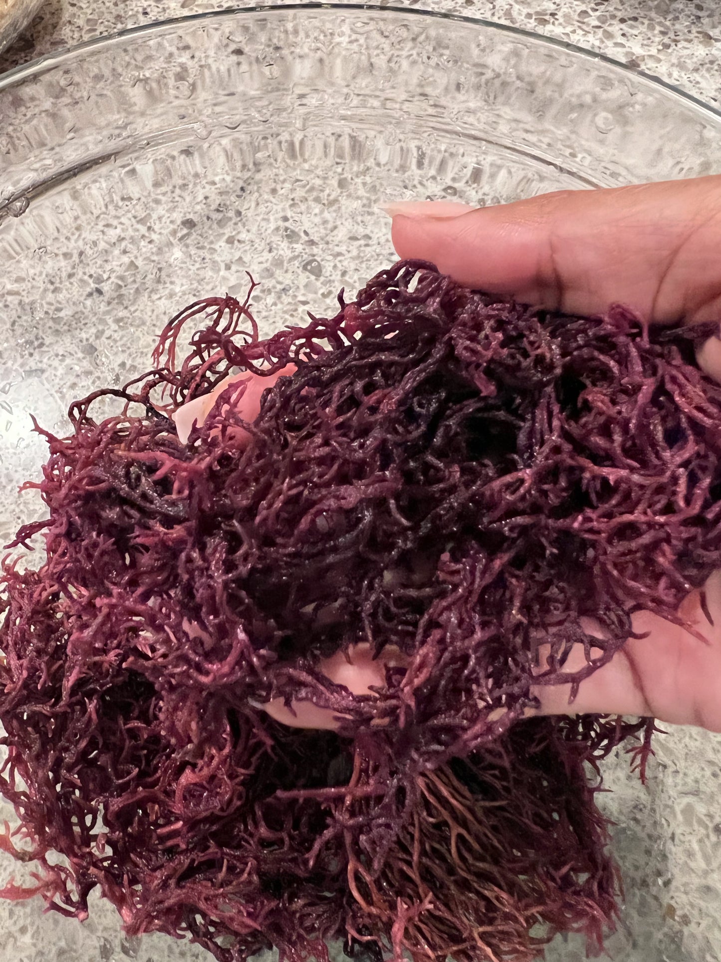 Dried Golden Sea Moss