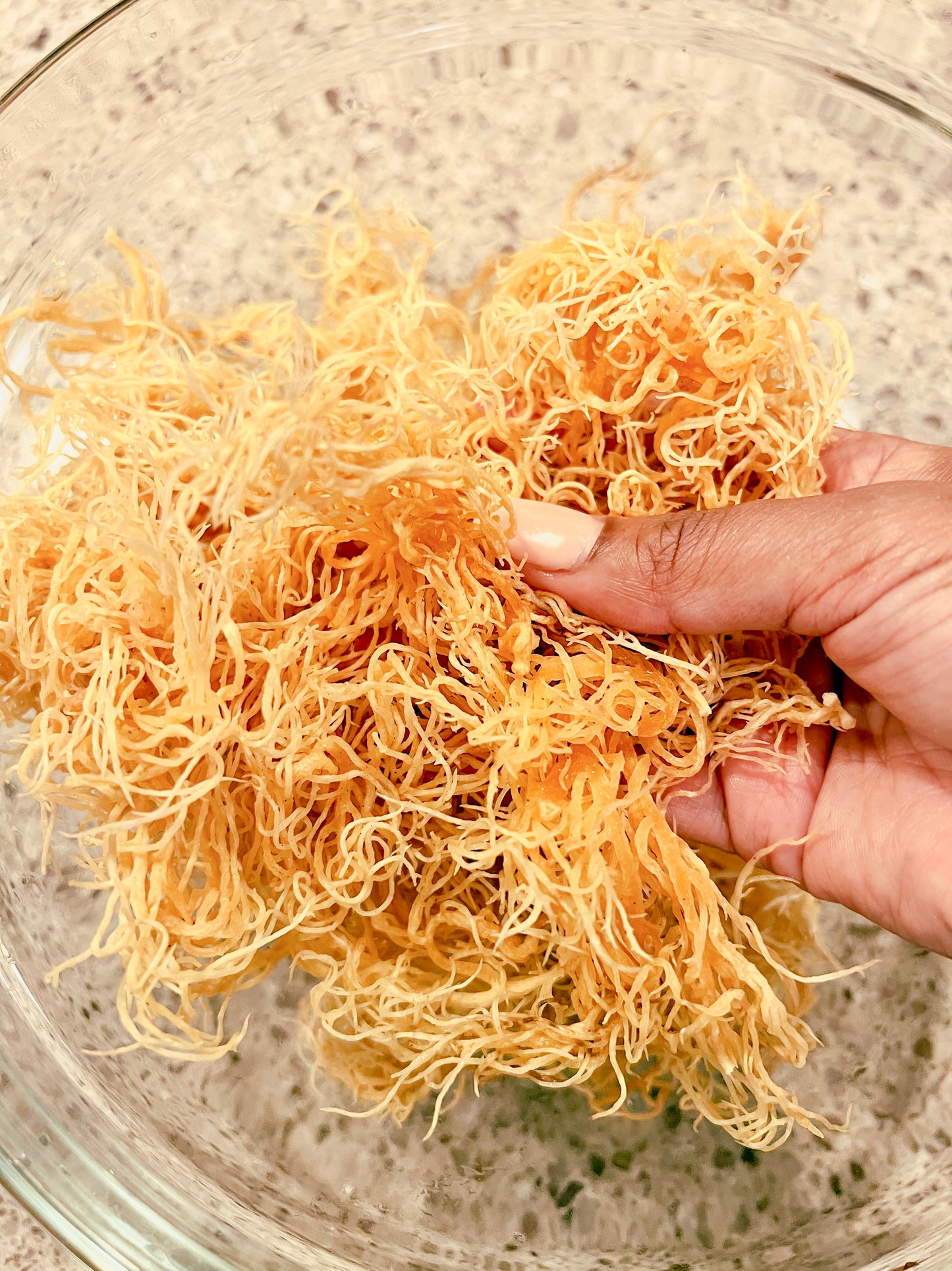 Dried Golden Sea Moss